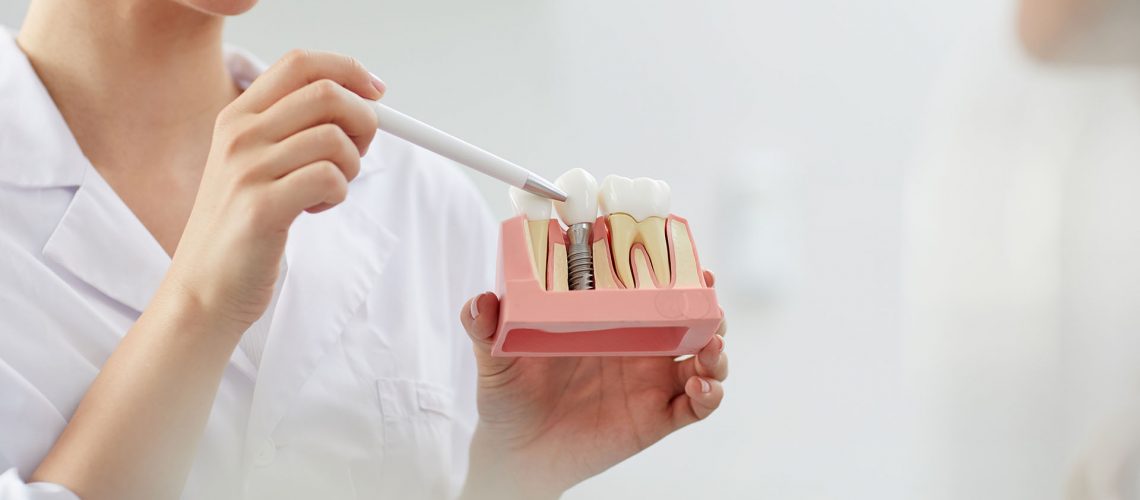 Mid section closeup of smiling female dentist holding tooth model while consulting patient in clinic, copy space